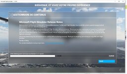 FSX.JPG
